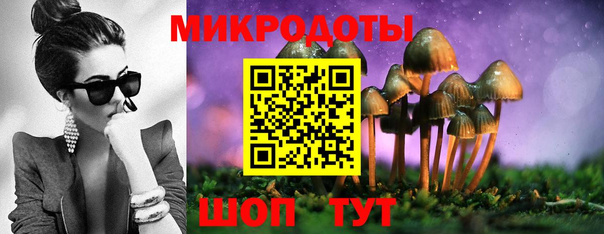 Псилоцибиновые грибы мицелий Тверь